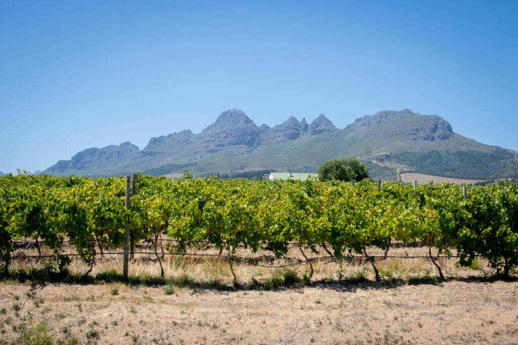 Tour Ciudad del cabo